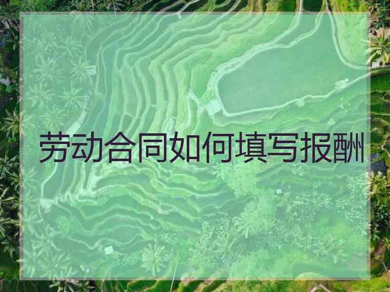 劳动合同如何填写报酬