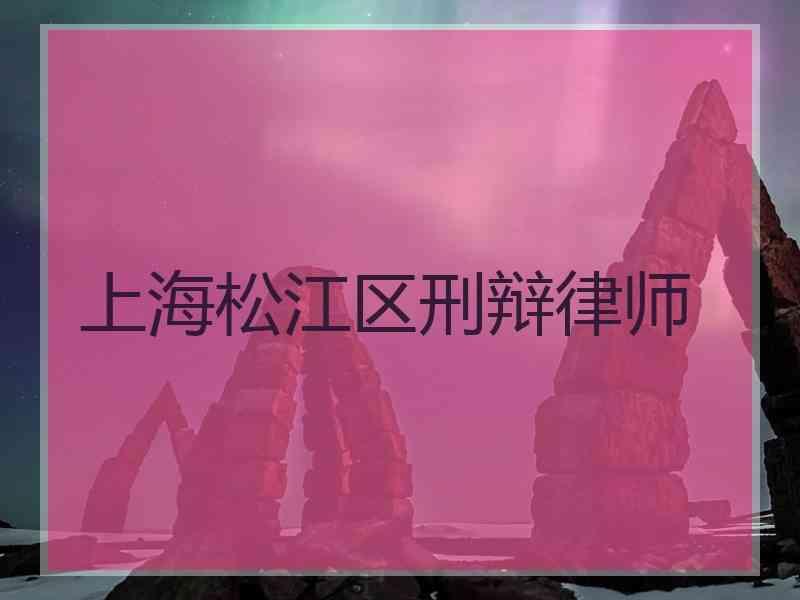 上海松江区刑辩律师