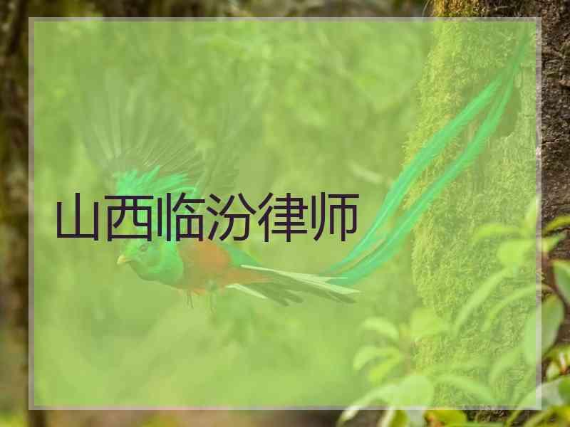 山西临汾律师