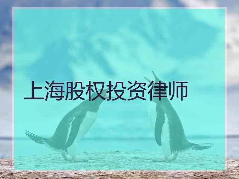 上海股权投资律师