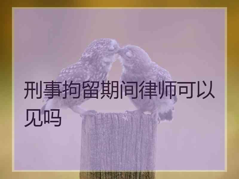 刑事拘留期间律师可以见吗