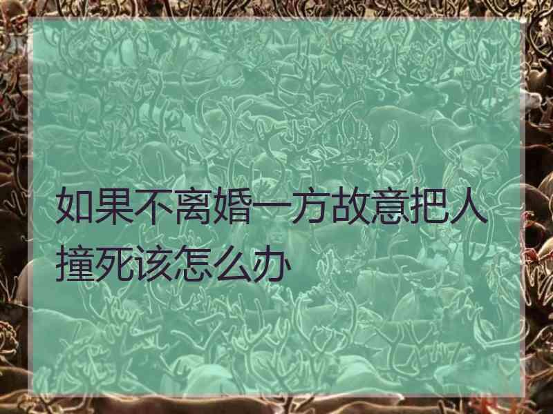 如果不离婚一方故意把人撞死该怎么办