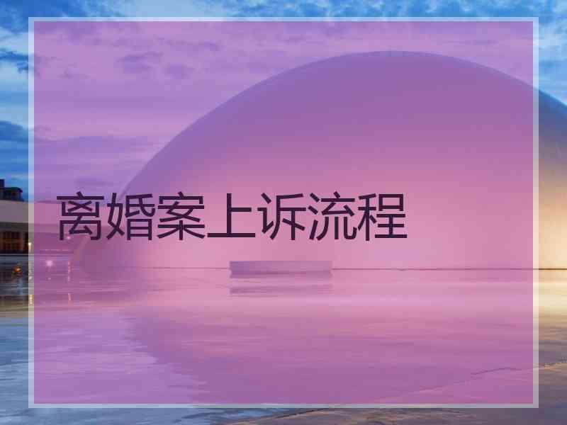 离婚案上诉流程