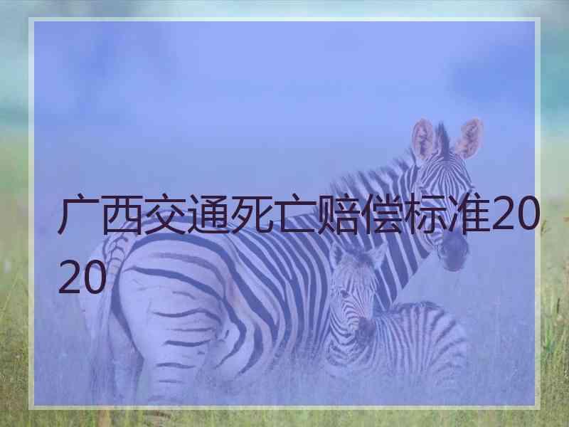 广西交通死亡赔偿标准2020