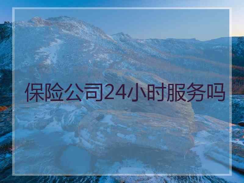 保险公司24小时服务吗