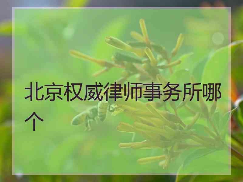 北京权威律师事务所哪个