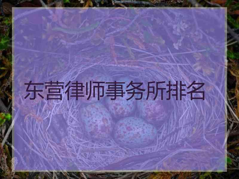 东营律师事务所排名