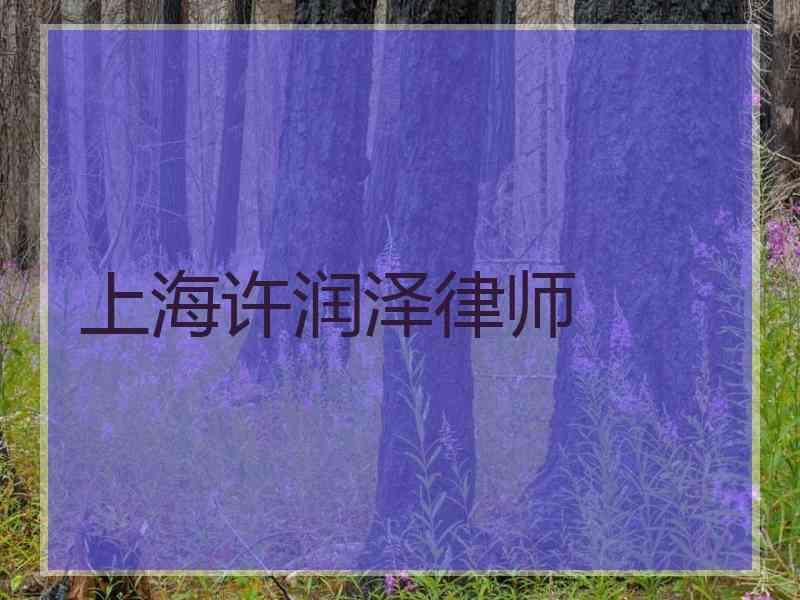 上海许润泽律师