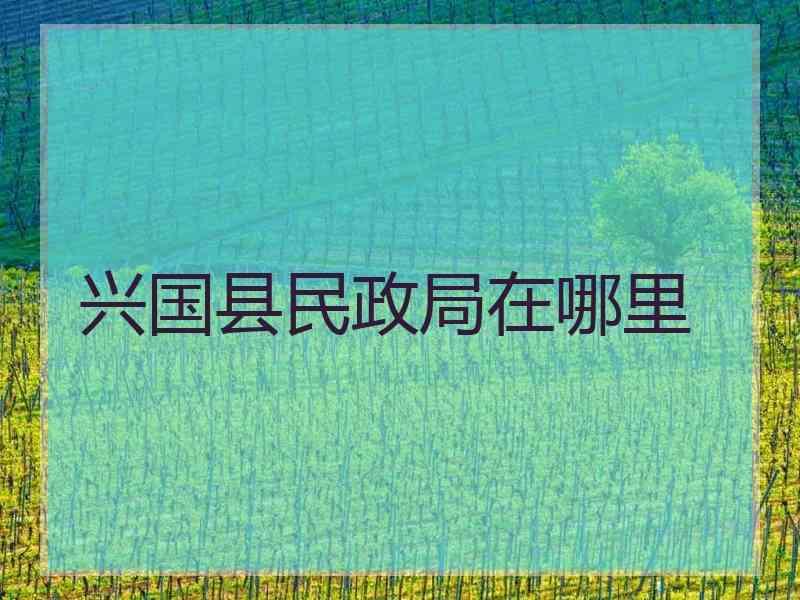 兴国县民政局在哪里