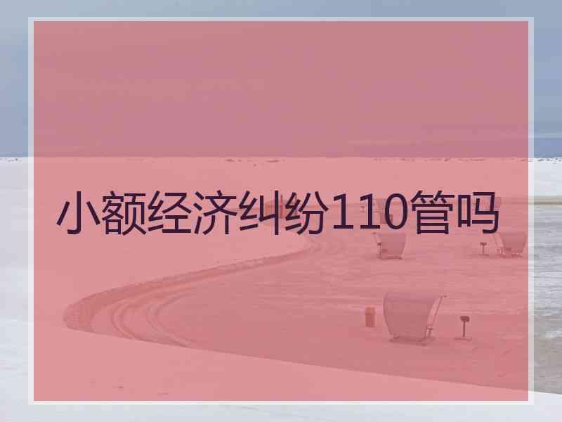 小额经济纠纷110管吗
