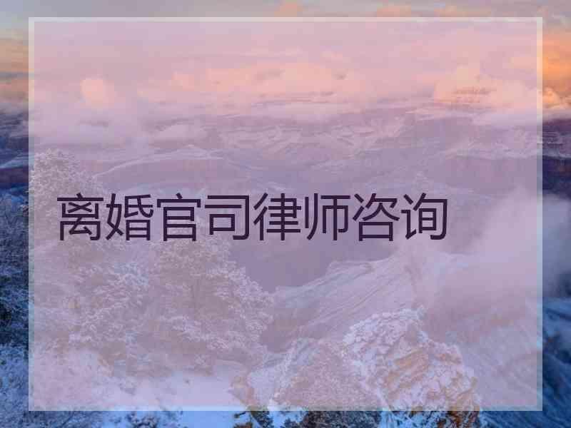 离婚官司律师咨询