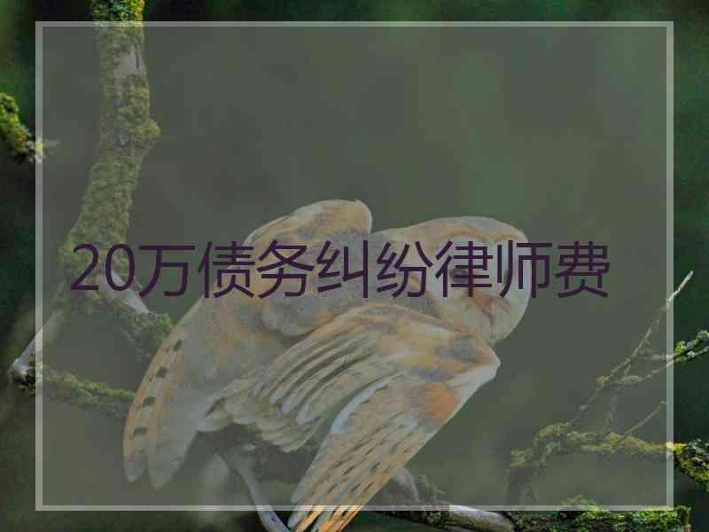 20万债务纠纷律师费