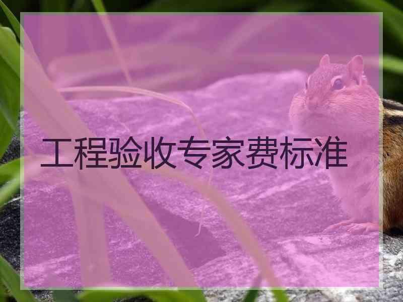 工程验收专家费标准