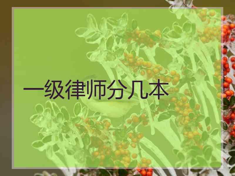 一级律师分几本