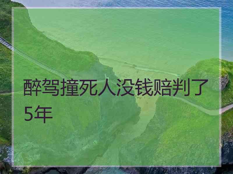 醉驾撞死人没钱赔判了5年