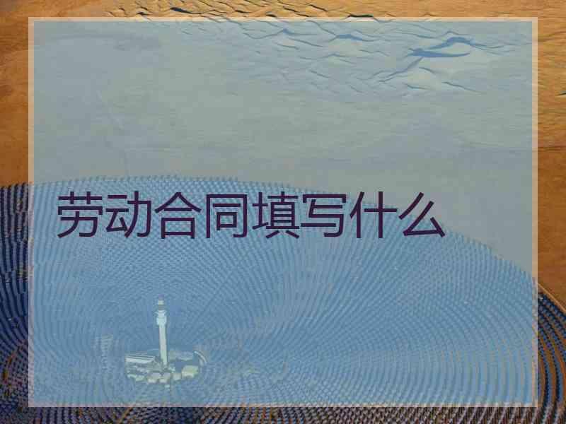 劳动合同填写什么