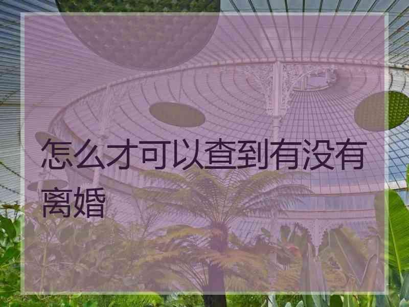 怎么才可以查到有没有离婚