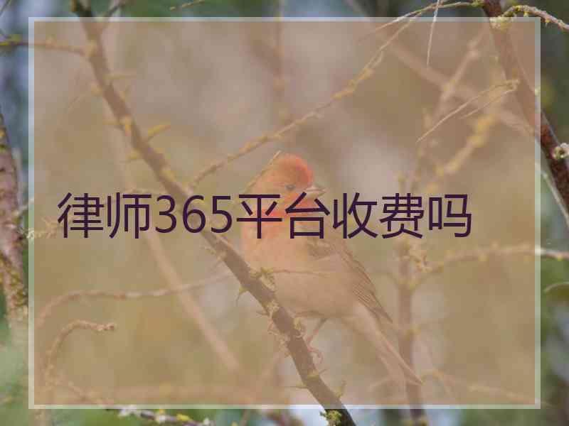 律师365平台收费吗