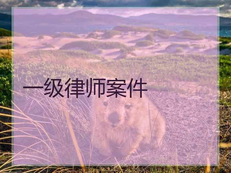 一级律师案件