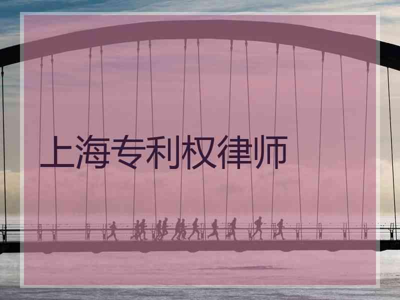 上海专利权律师