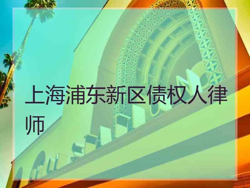 上海浦东新区债权人律师