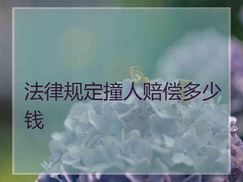 法律规定撞人赔偿多少钱