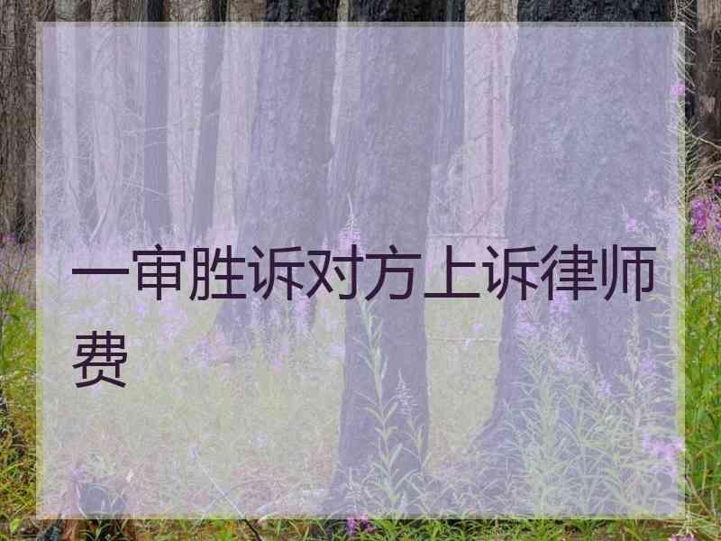 一审胜诉对方上诉律师费