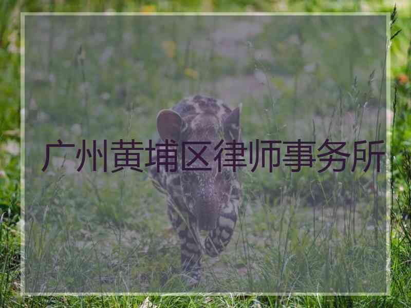 广州黄埔区律师事务所