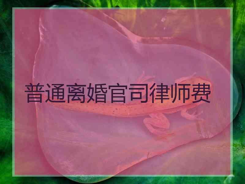 普通离婚官司律师费