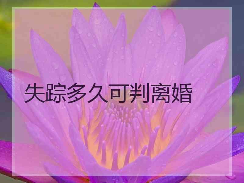 失踪多久可判离婚