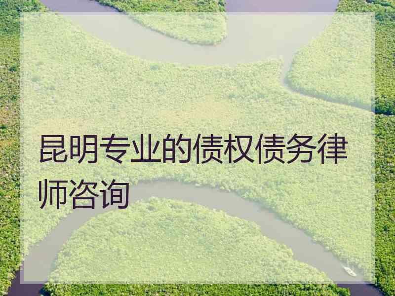 昆明专业的债权债务律师咨询 昆明专业的债权债务律师咨询