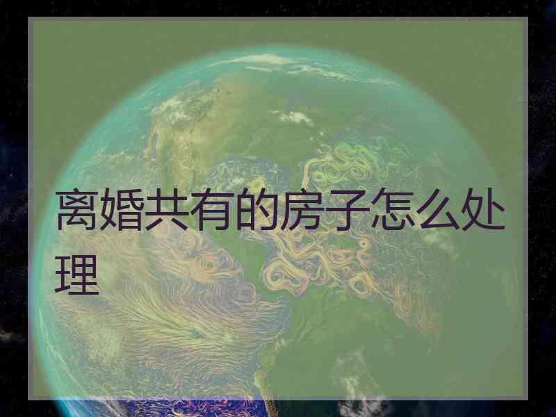 离婚共有的房子怎么处理