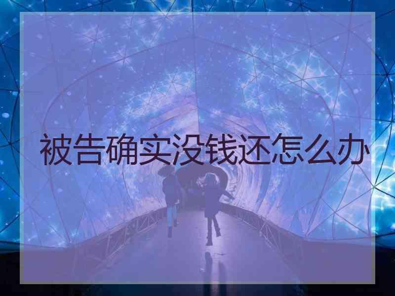 被告确实没钱还怎么办