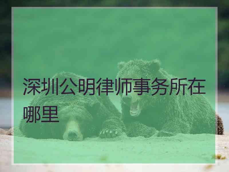 深圳公明律师事务所在哪里