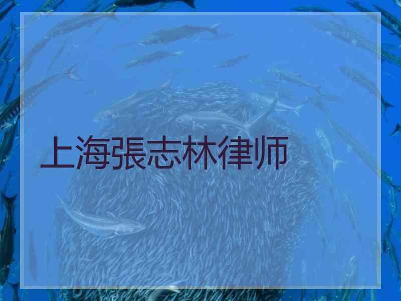 上海張志林律师