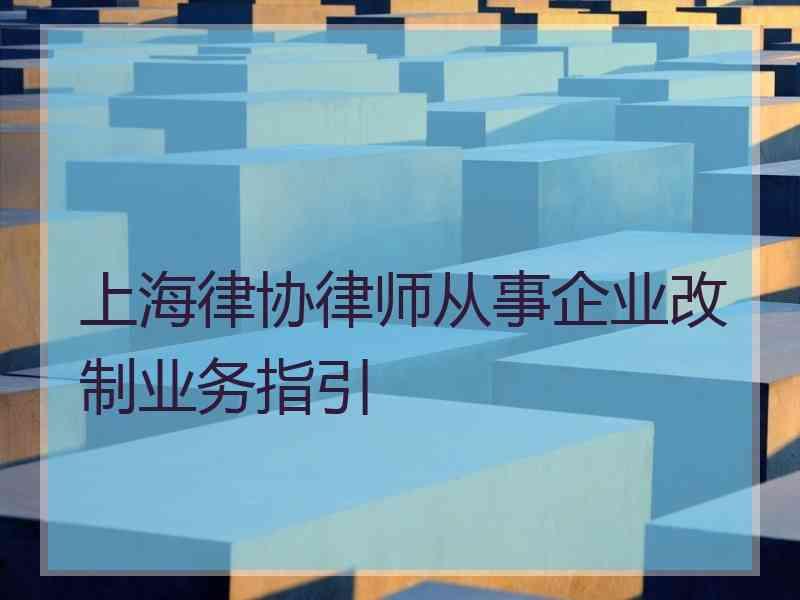 上海律协律师从事企业改制业务指引