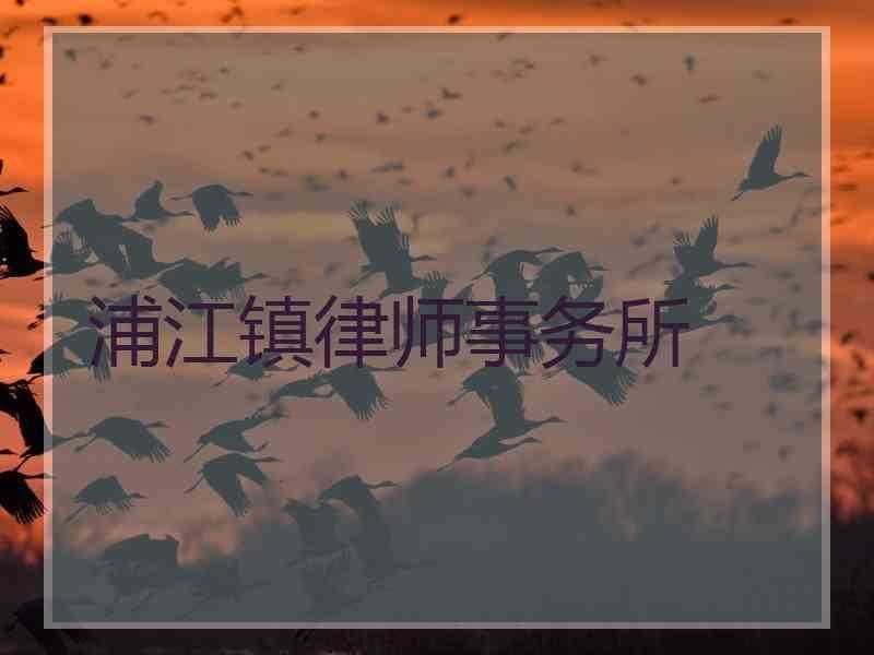 浦江镇律师事务所