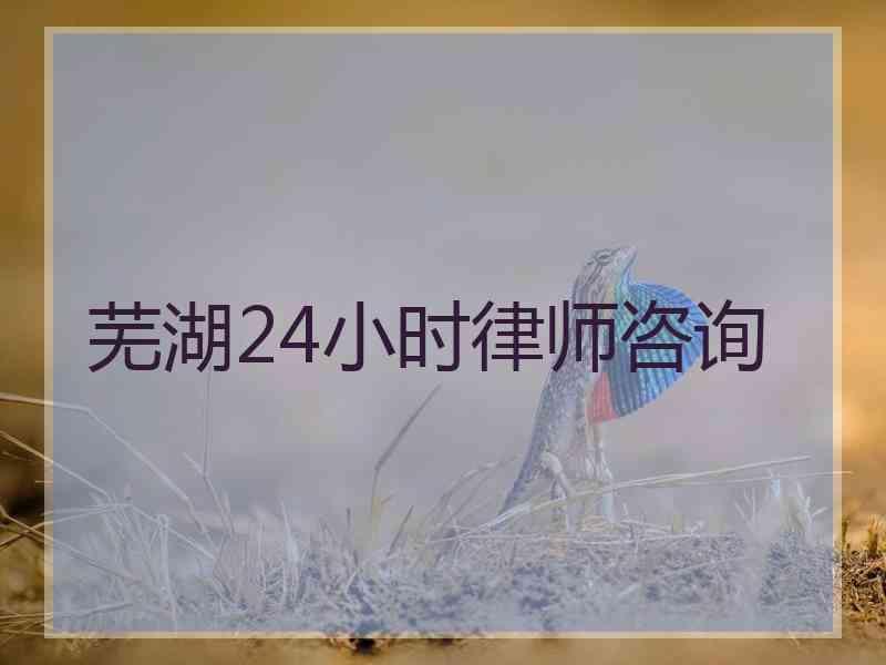 芜湖24小时律师咨询