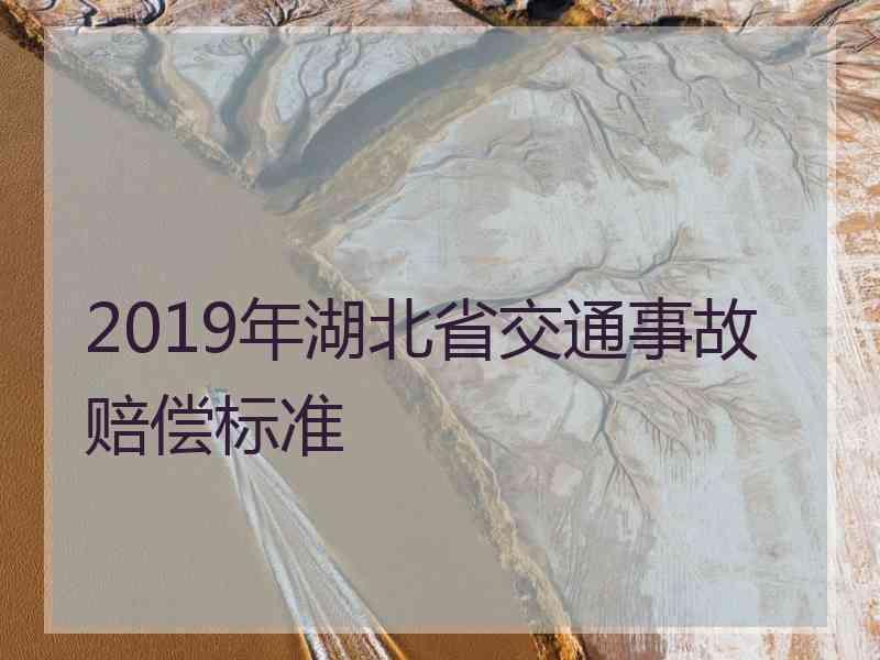 2019年湖北省交通事故赔偿标准