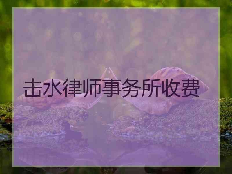 击水律师事务所收费