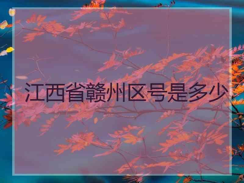 江西省赣州区号是多少