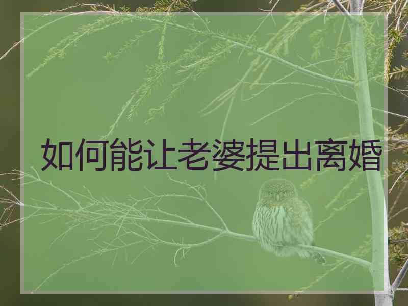 如何能让老婆提出离婚