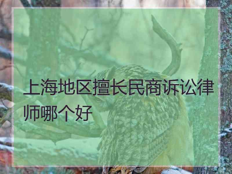 上海地区擅长民商诉讼律师哪个好