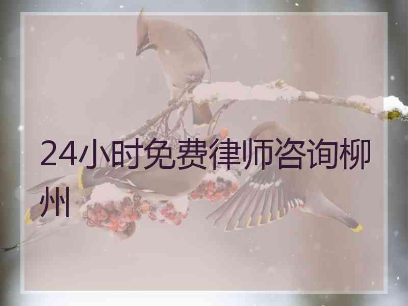 24小时免费律师咨询柳州