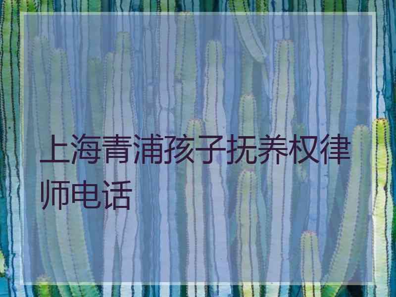 上海青浦孩子抚养权律师电话