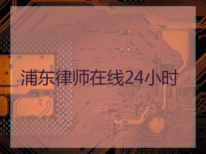 浦东律师在线24小时