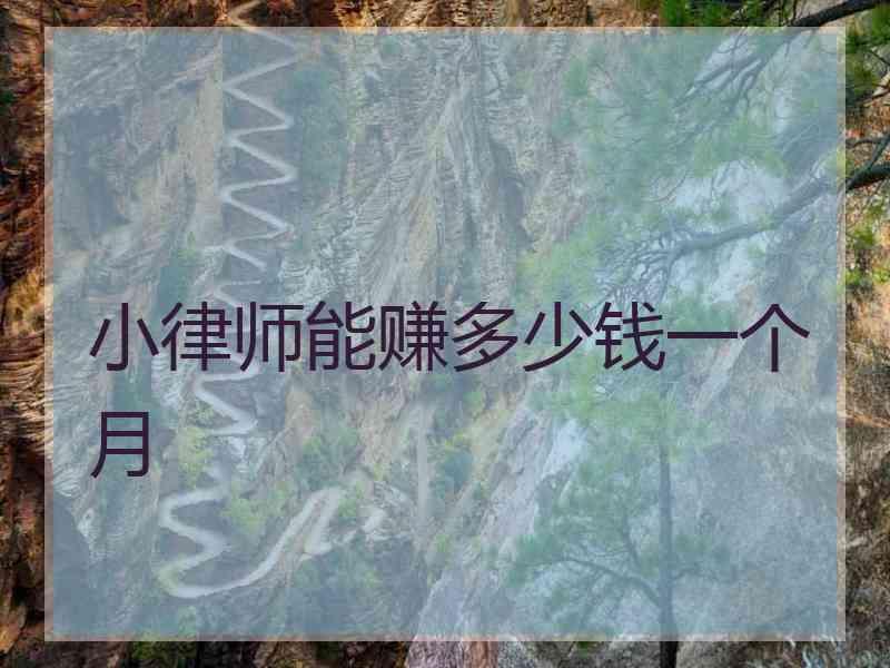 小律师能赚多少钱一个月