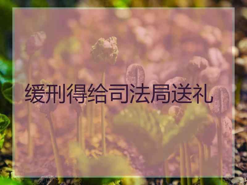 缓刑得给局送礼