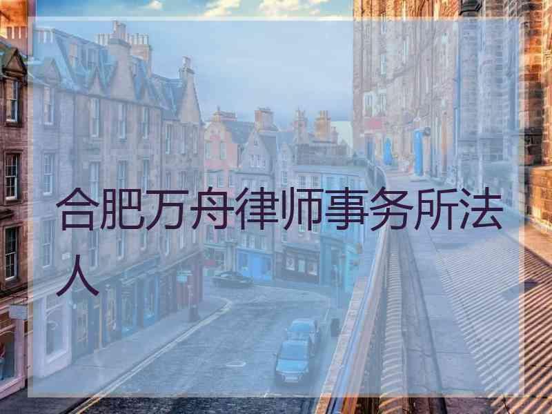 合肥万舟律师事务所法人