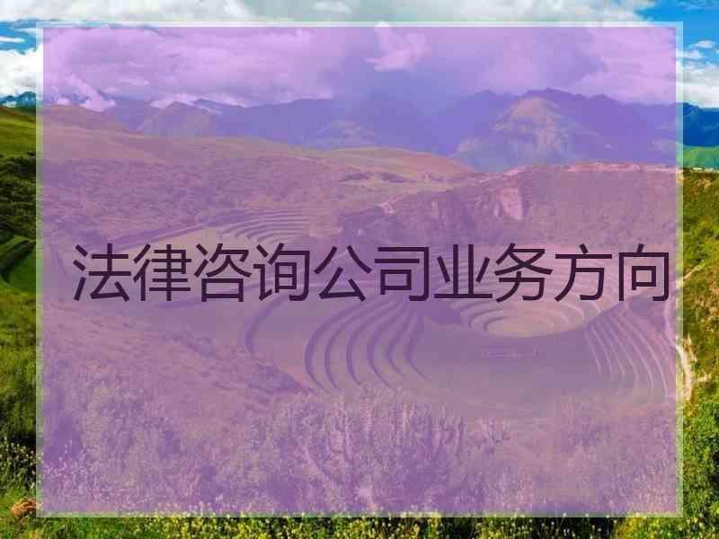 法律咨询公司业务方向